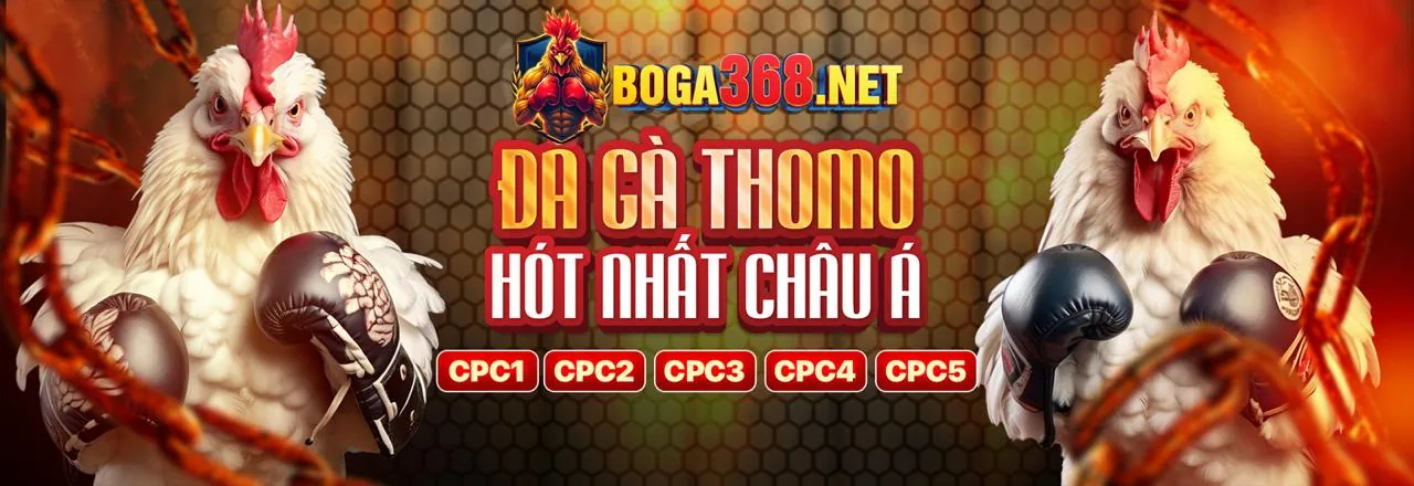 Đá gà trực tuyến Kubet với các trận đấu sôi động