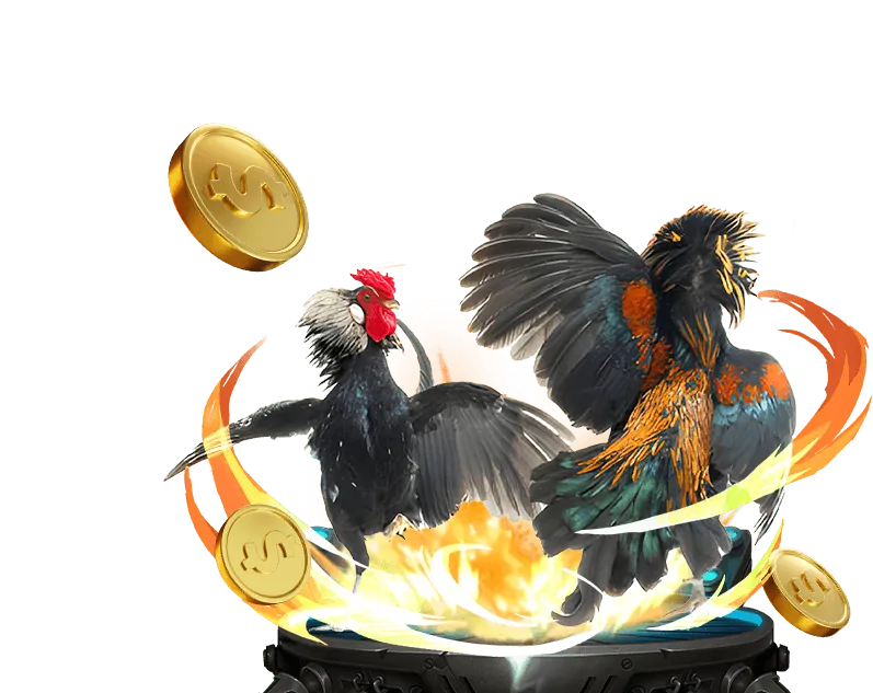 Giới thiệu tổng quan về Kubet